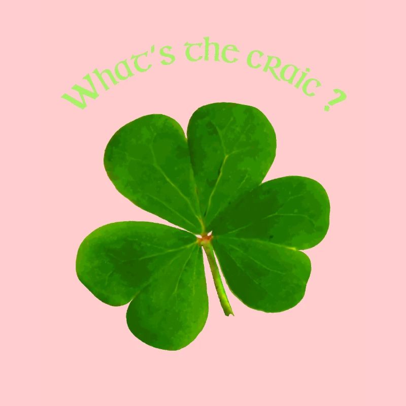QU’EST-CE QUE LE CRAIC?