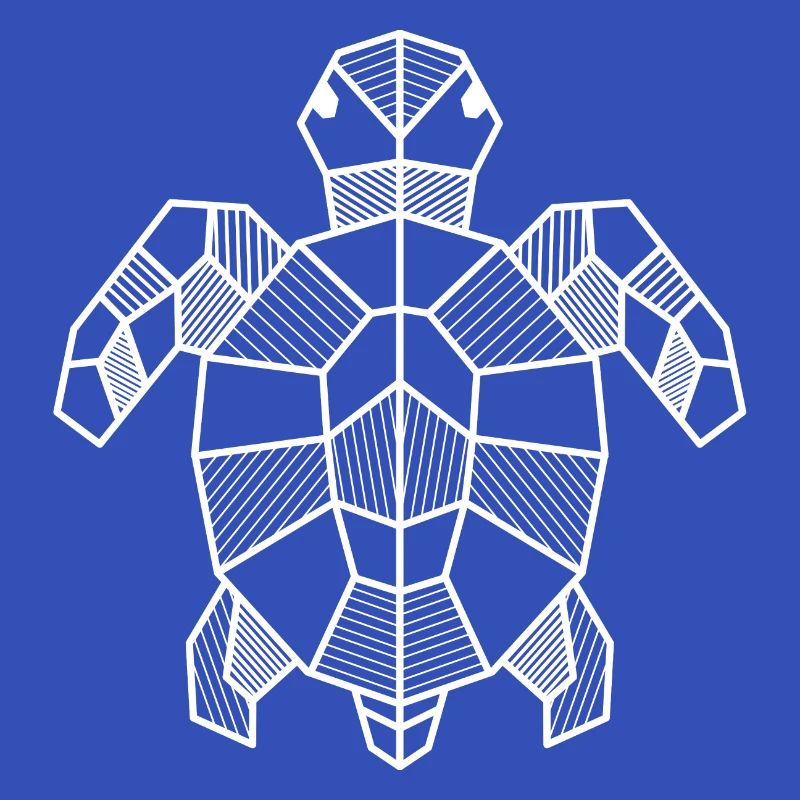Turtle Geometric Gift Triangle Hipster