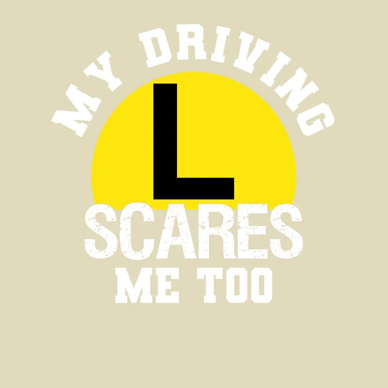 Learner driver Driving school Driving licence Novice driver
