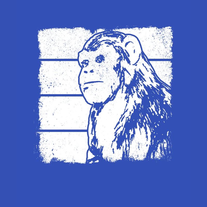 Monkey Chimpanzee Orangutan Monkey - Monkey