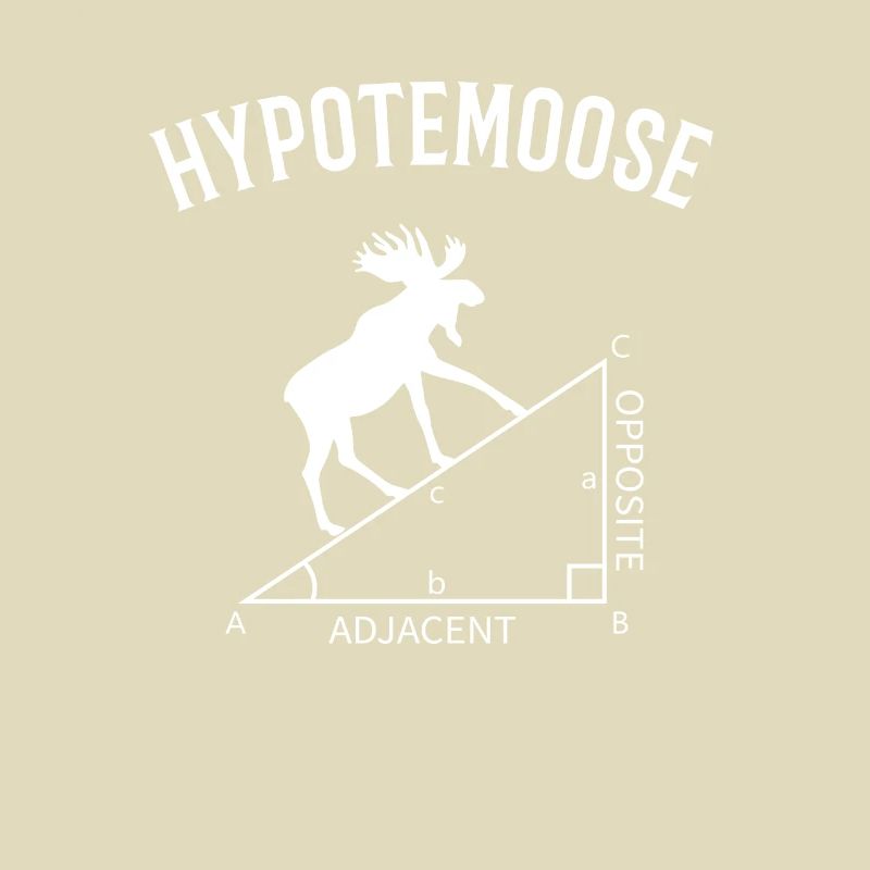 hypotemoose, math teacher hypotemoose
