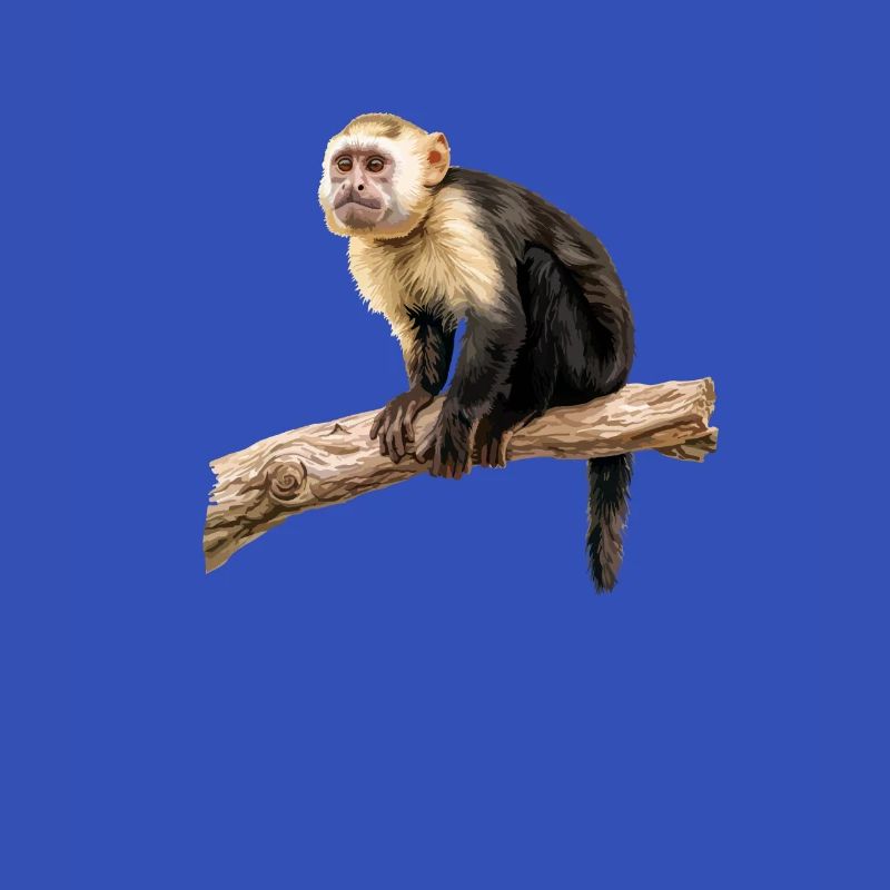 Capuchin monkey whisperer