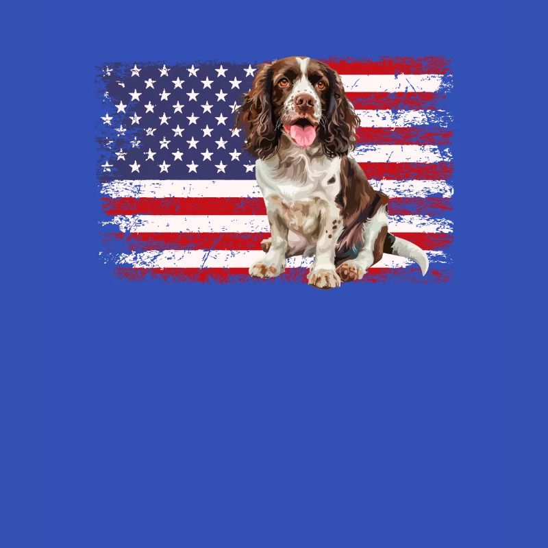 springer spaniel