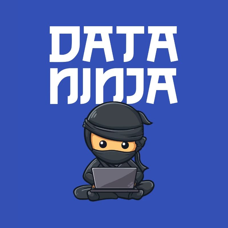 Data ninja data scientist