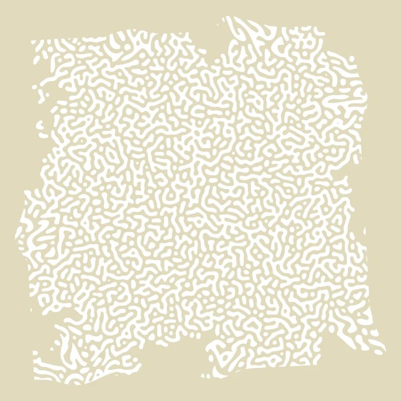 Turing Pattern Blanc - Ver