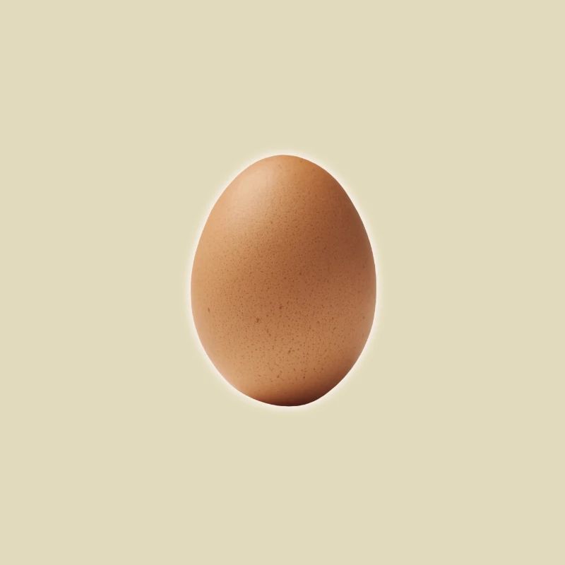 EGG