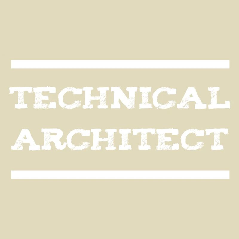 Technical Architect Data Engineer IT Developer