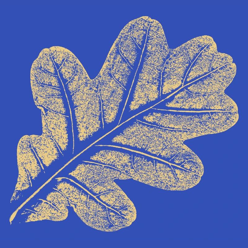 Blatt Eiche / Eichenblatt - Natur Design
