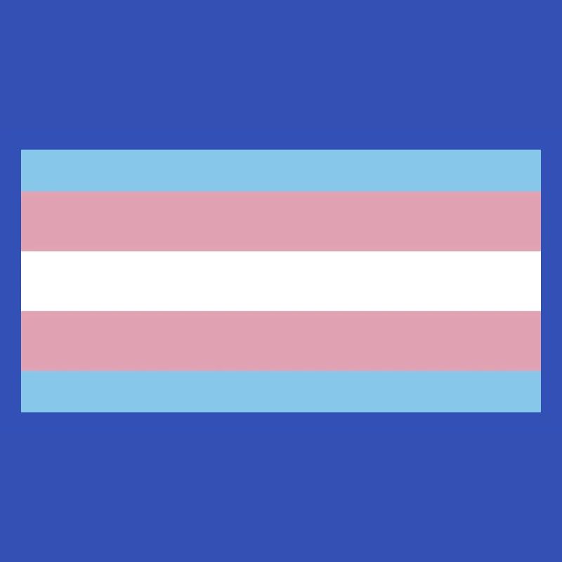 trans pride