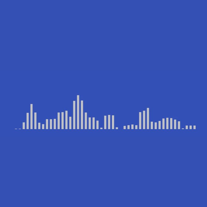Visualizer