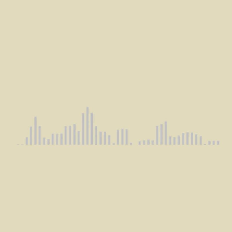 Visualizer