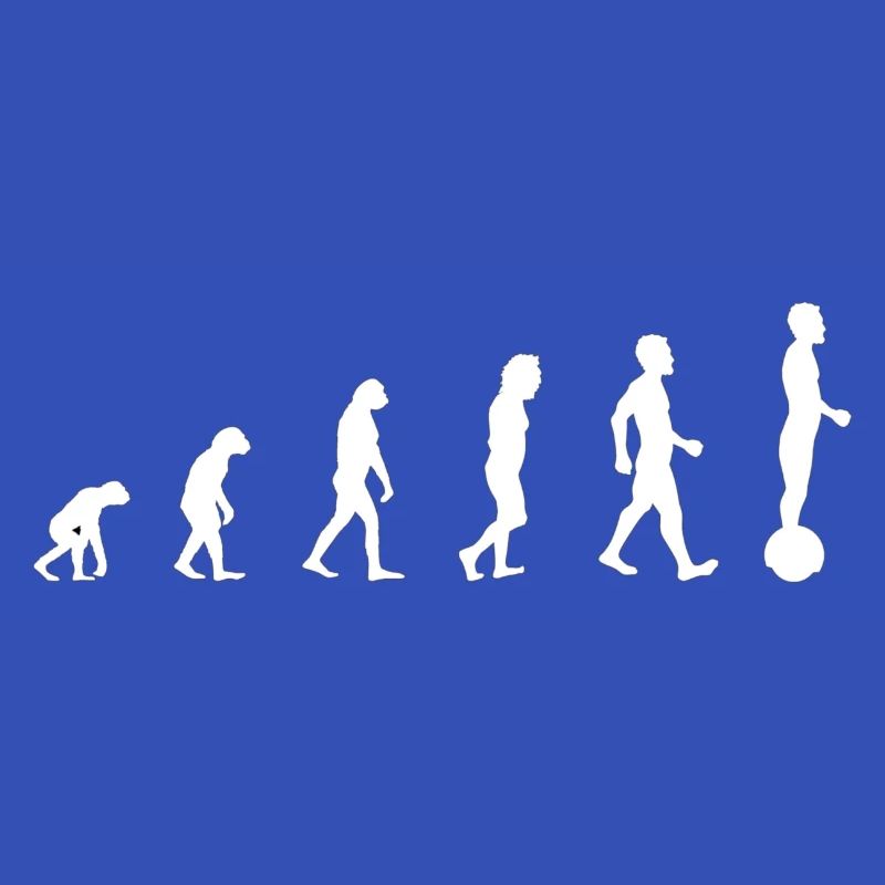Gyroroue évolution