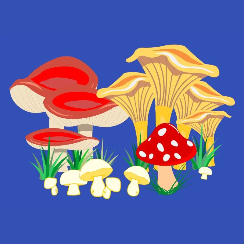 Composition colorée des champignons