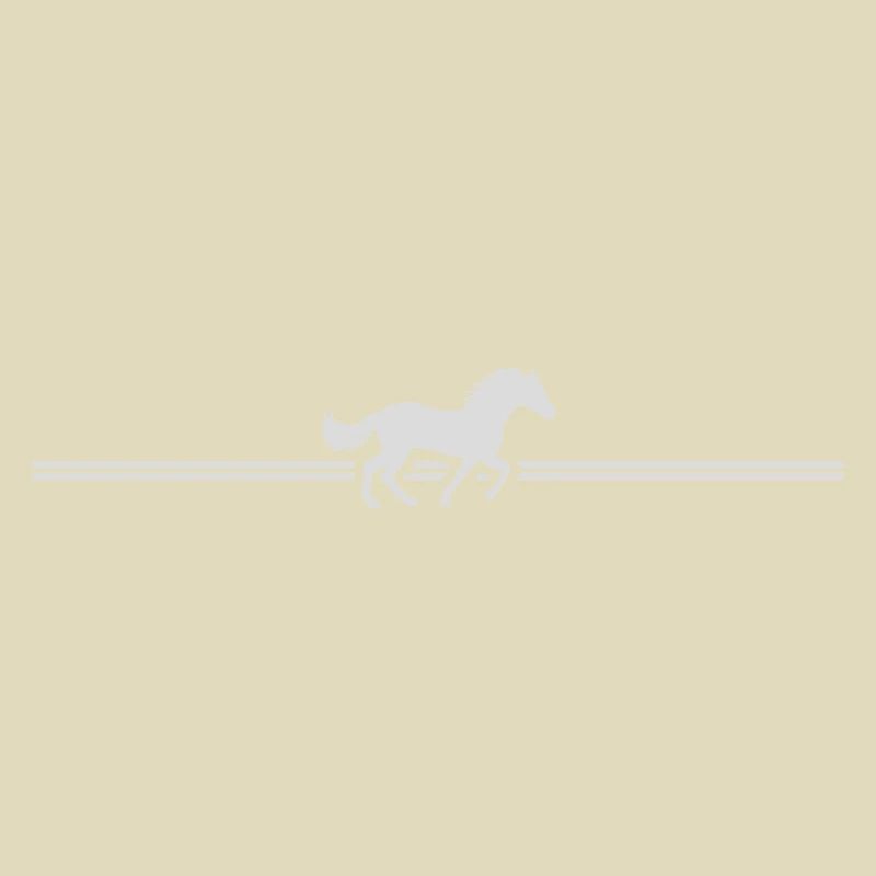 Line Stripe Racing Horse