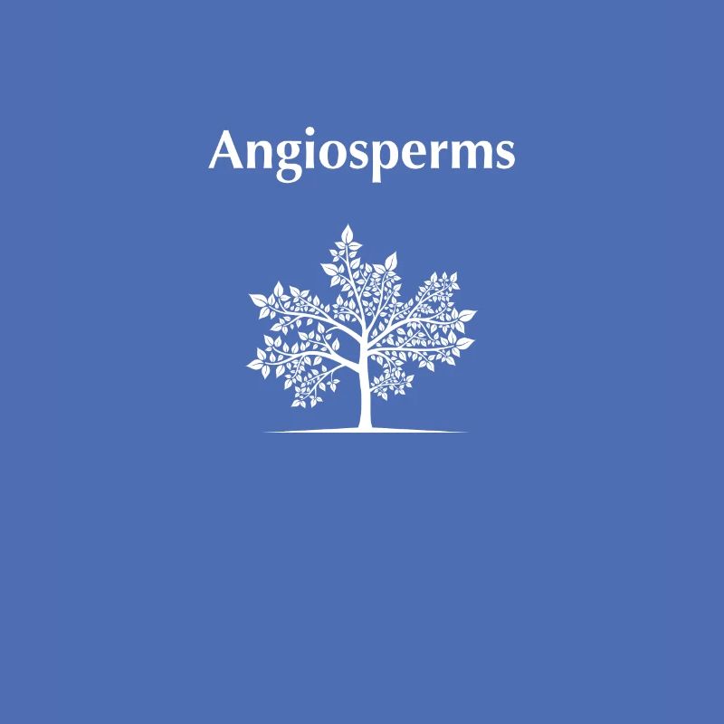 Angiospermen