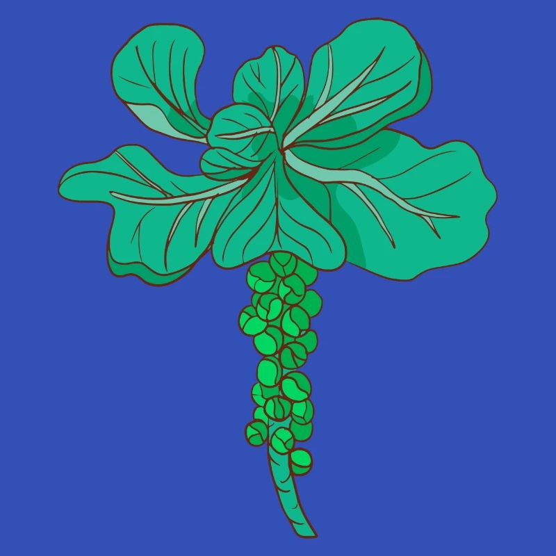 Brussels sprouts Brussels cabbage sprouts cabbage sprouts