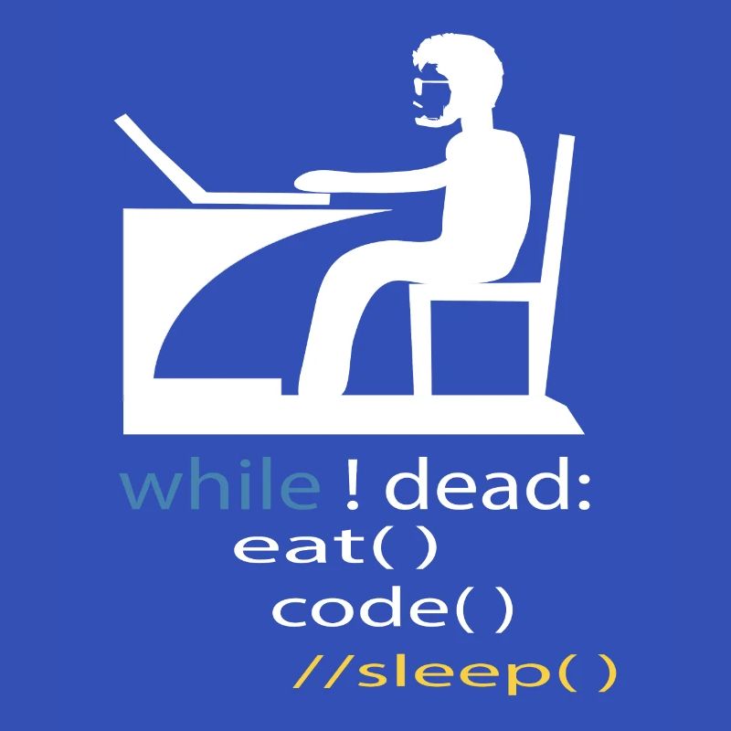 Softwareentwickler Programmierer Geschenk