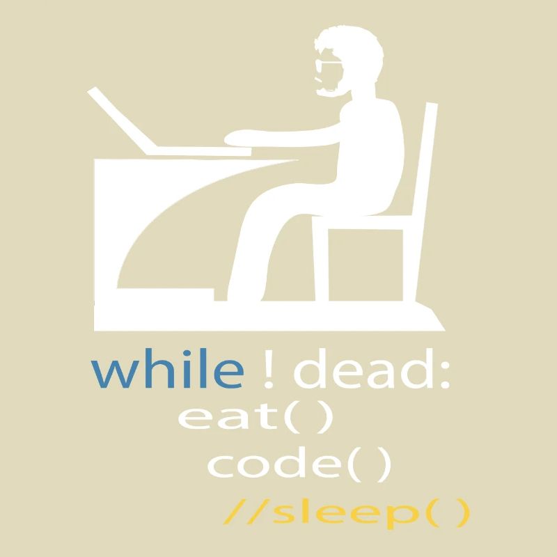 Softwareentwickler Programmierer Geschenk