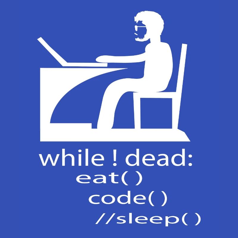 Software Developer Programmer Gift