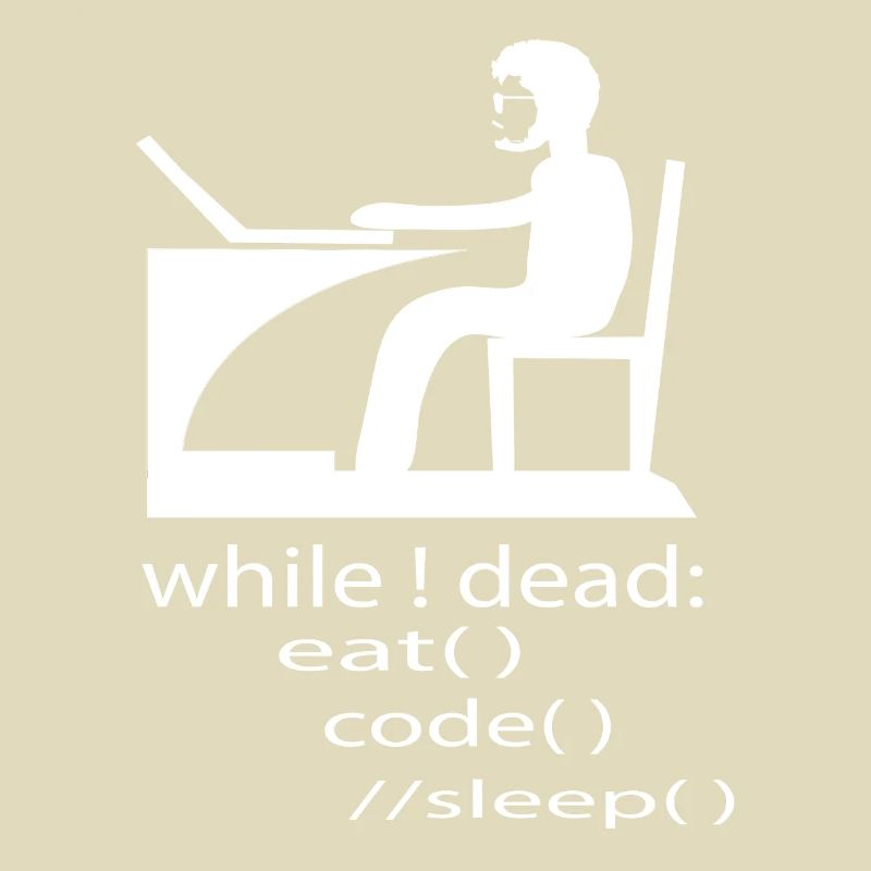 Softwareentwickler Programmierer Geschenk