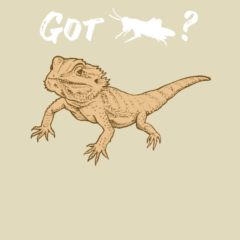 Bearded dragon asks for Locust Reptile Lizard