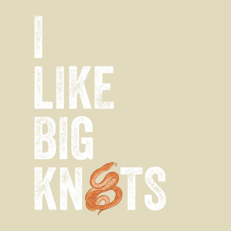 Königspython Ball Python