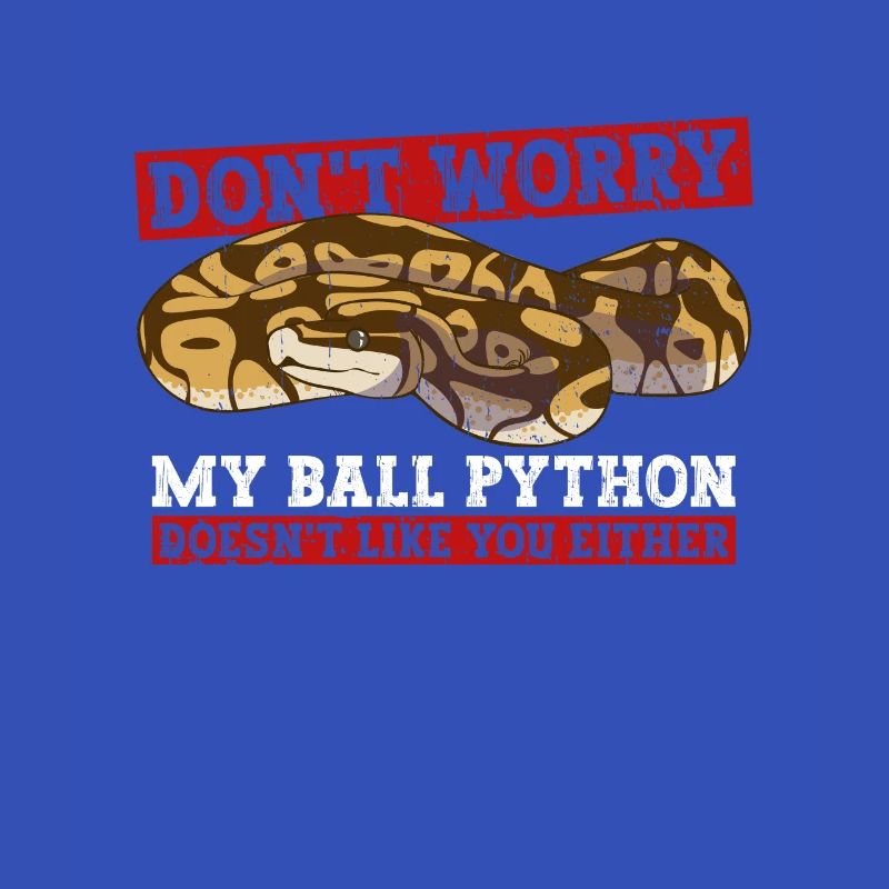 Königspython Bananenkugel Python
