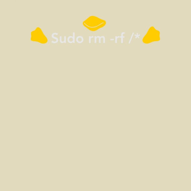 LINUX: Sudo rm