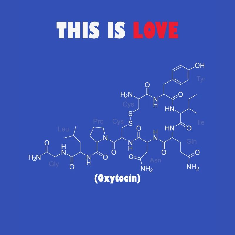 C’est la molécule d’ocytocine d’amour