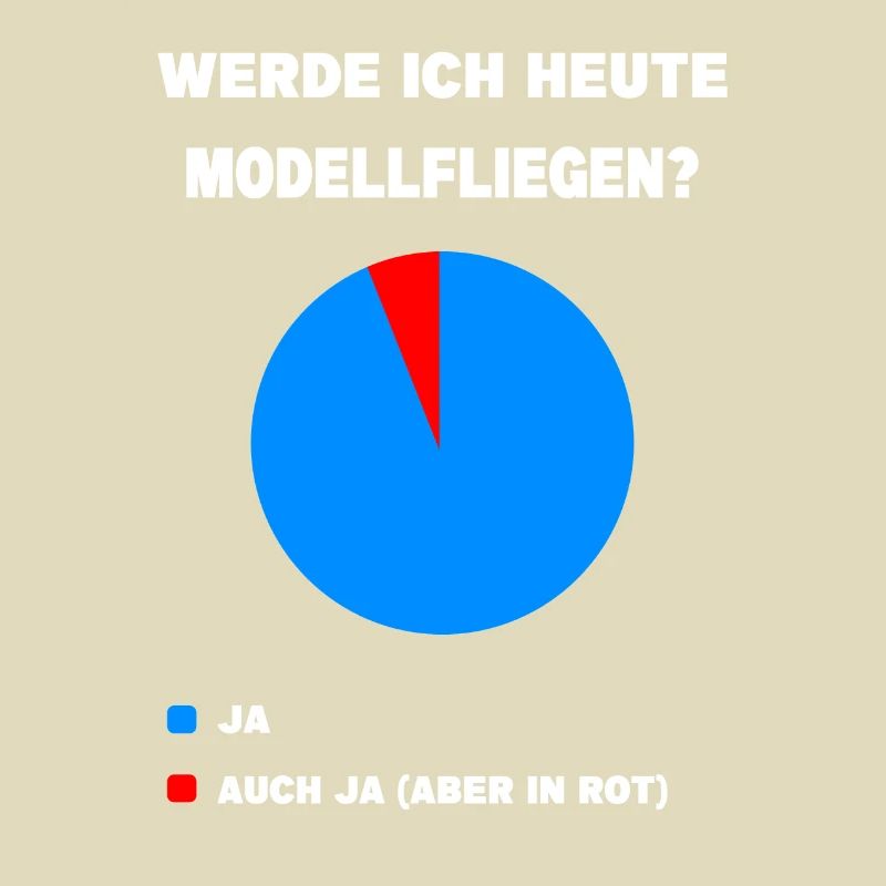Modellflug Pilot Modellbau Flugzeug Modellbauer