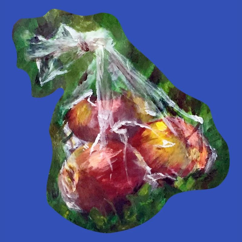 Picknick-Äpfel