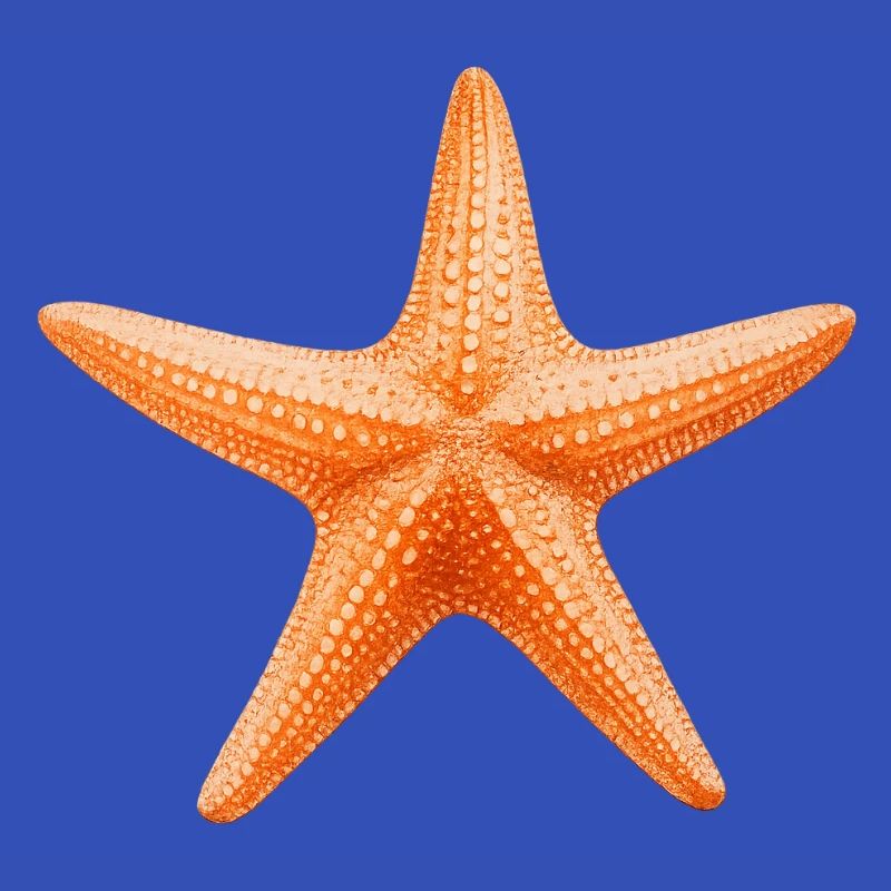 Conception de la plage Orange Starfish