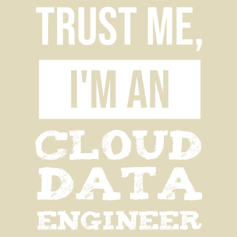 Cloud Data Engineer Datentechniker IT Informatik