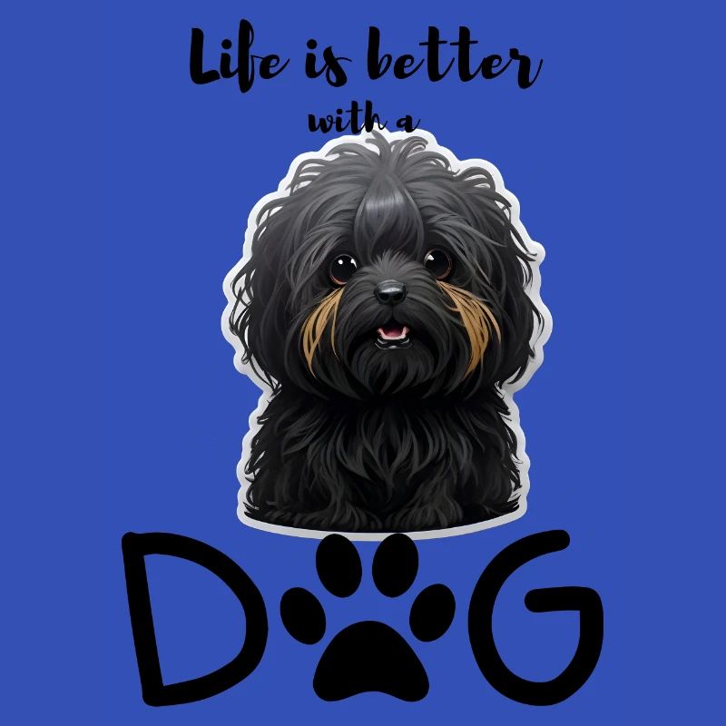 Lebensfreude mit einem Havapoo