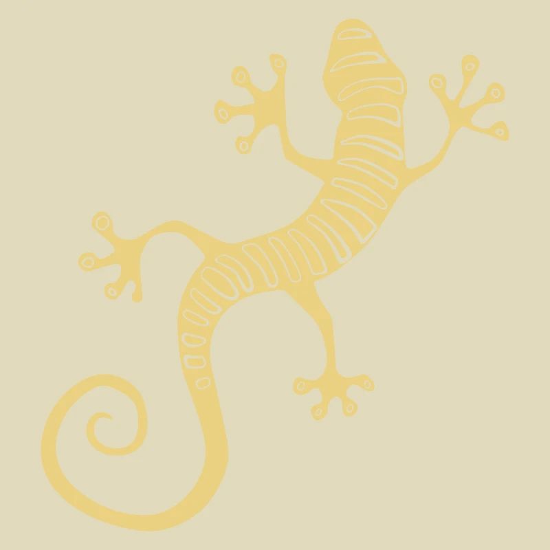 Coole Salamandereidechse oder Gecko