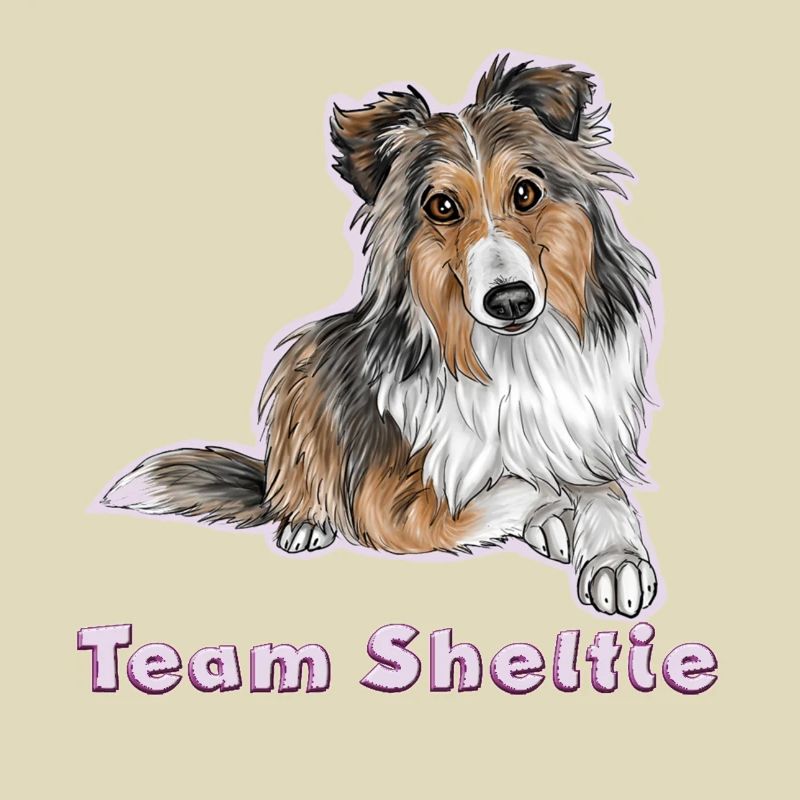 Team sheltie