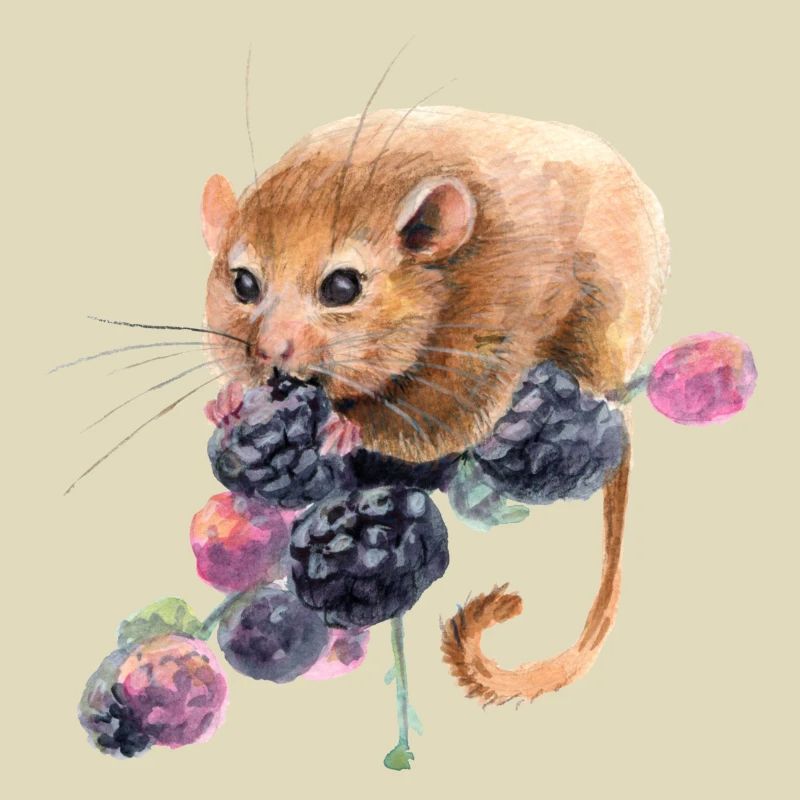 Haselmaus
