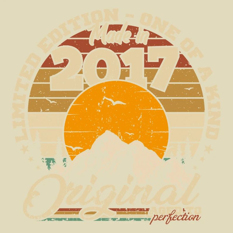 Made in 2017 Birthday Gift 2017 Retro 2017