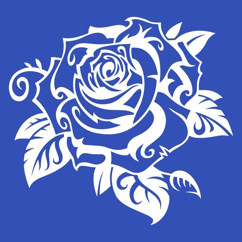 Rose blanche