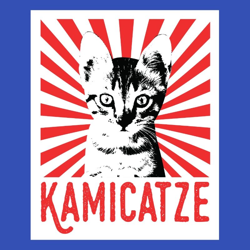 Kamicatze chat mignon chat chat grincheux chats chats