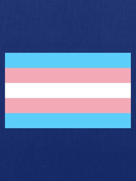 Trans-Flagge