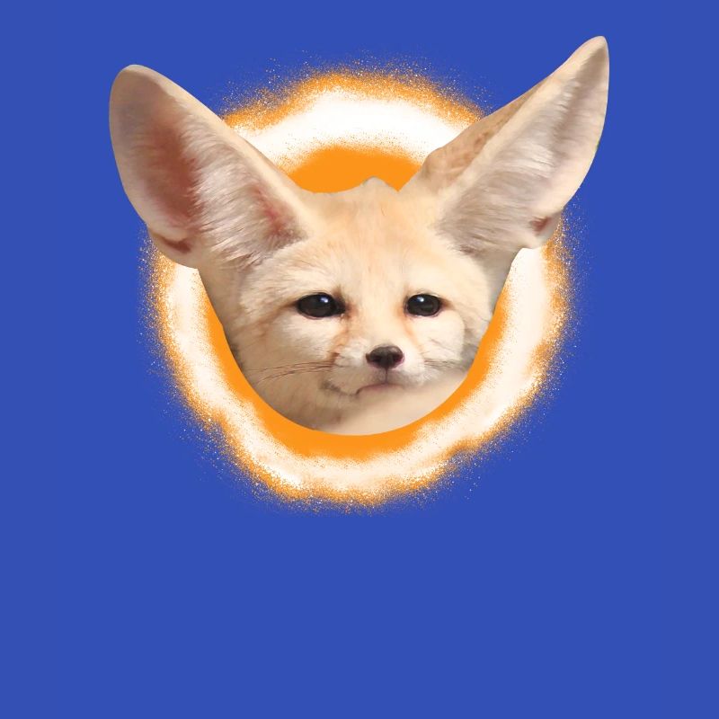 Fennek desert fox fox fox gift