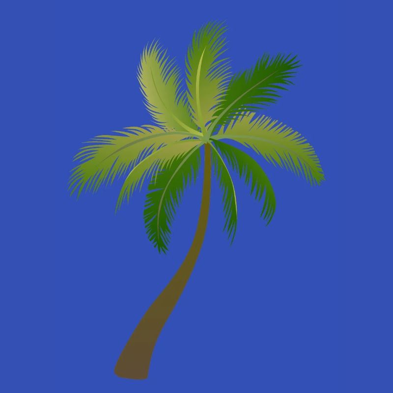 palm tree palm trees 23053 S