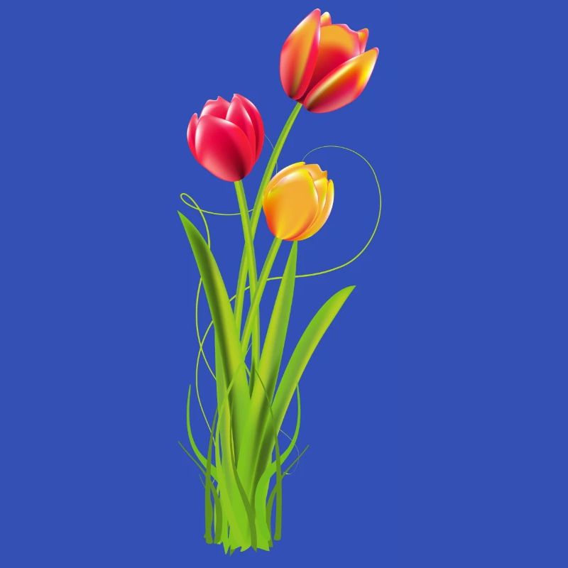 Three brightly coloured tulips as a spring bouquet