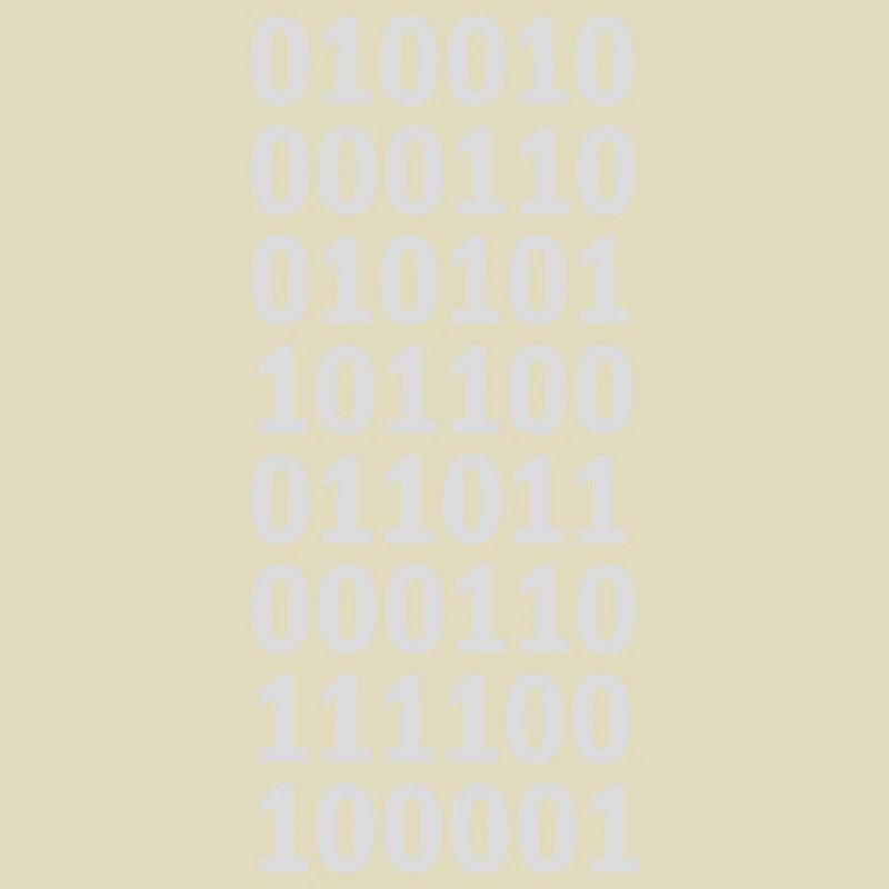 Binär Code Programm Sprache