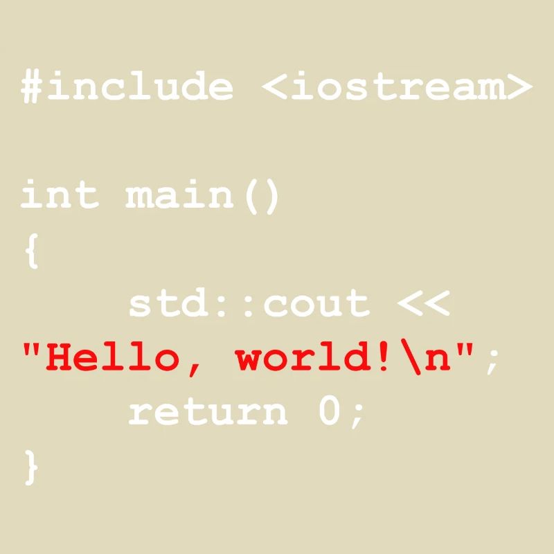 Programmer Coder Software Developer