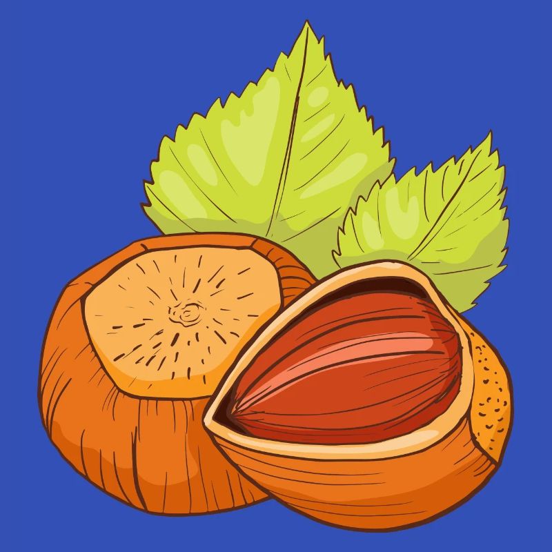 Hazelnut common hazelnut shrub