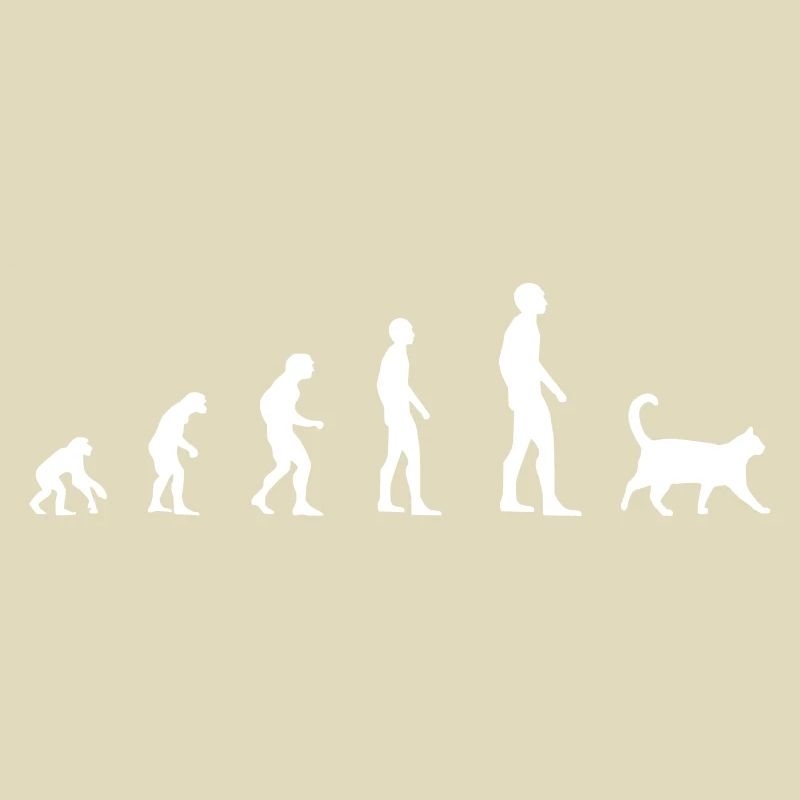 Chat - Evolution