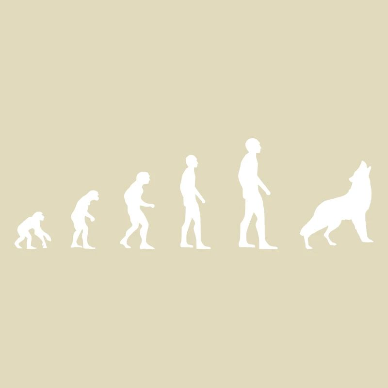 Wolf – Evolution