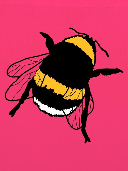 Hummel